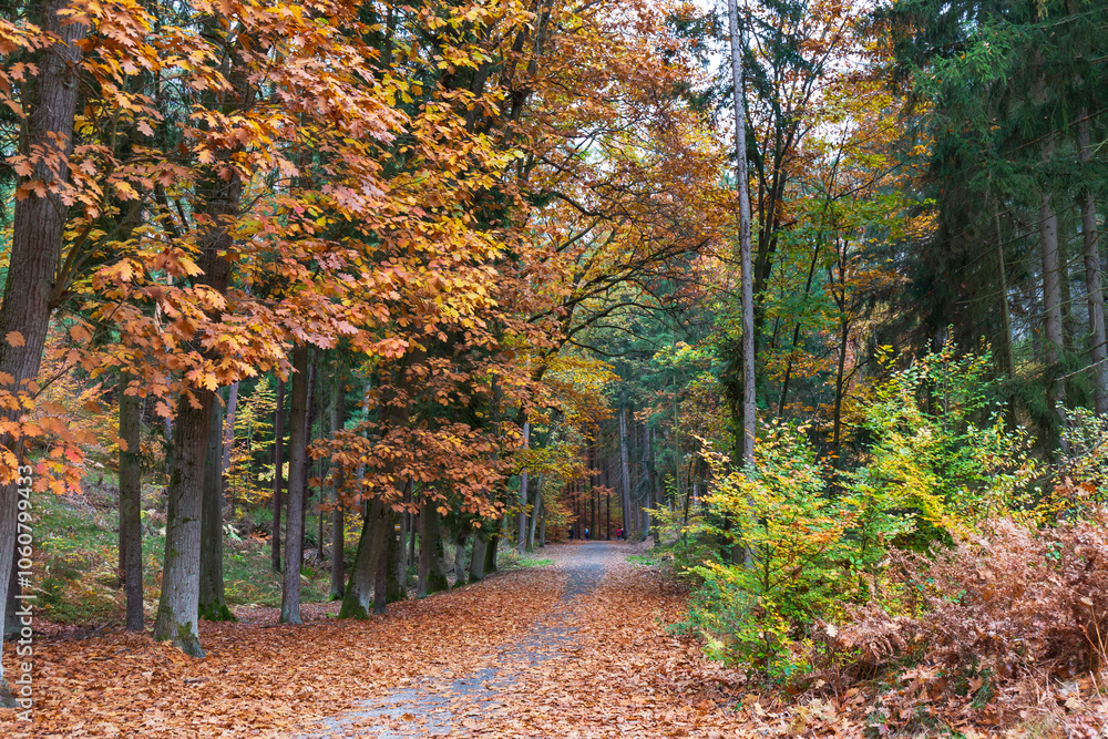Colorful autumn Landscape in Bohemian Paradise, Czech Republic