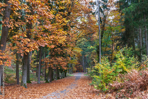 Obraz na płótnie Colorful autumn Landscape in Bohemian Paradise, Czech Republic w salonie