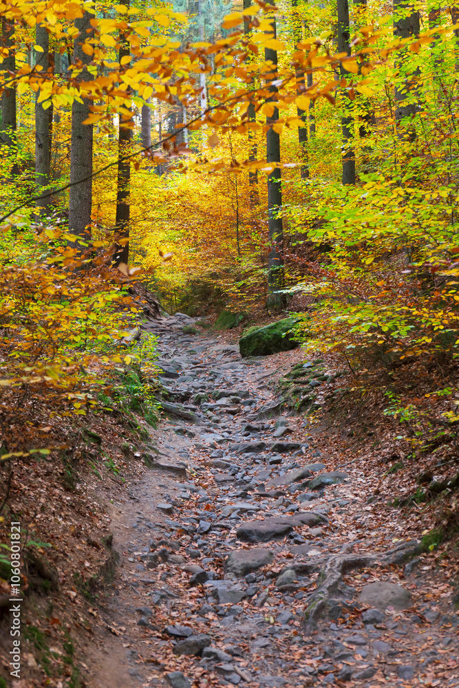 Colorful autumn Landscape in Bohemian Paradise, Czech Republic