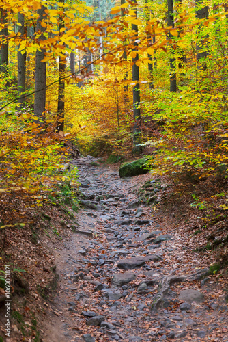 Obraz na płótnie Colorful autumn Landscape in Bohemian Paradise, Czech Republic w salonie