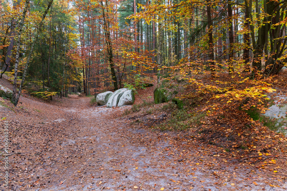 Colorful autumn Landscape in Bohemian Paradise, Czech Republic