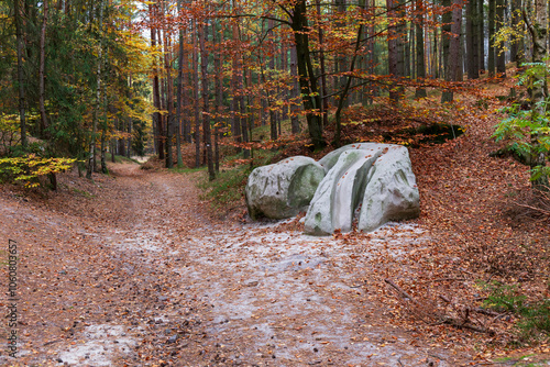 Obraz na płótnie Colorful autumn Landscape in Bohemian Paradise, Czech Republic w salonie