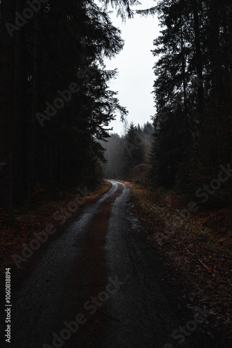 Moody road in rainy forest