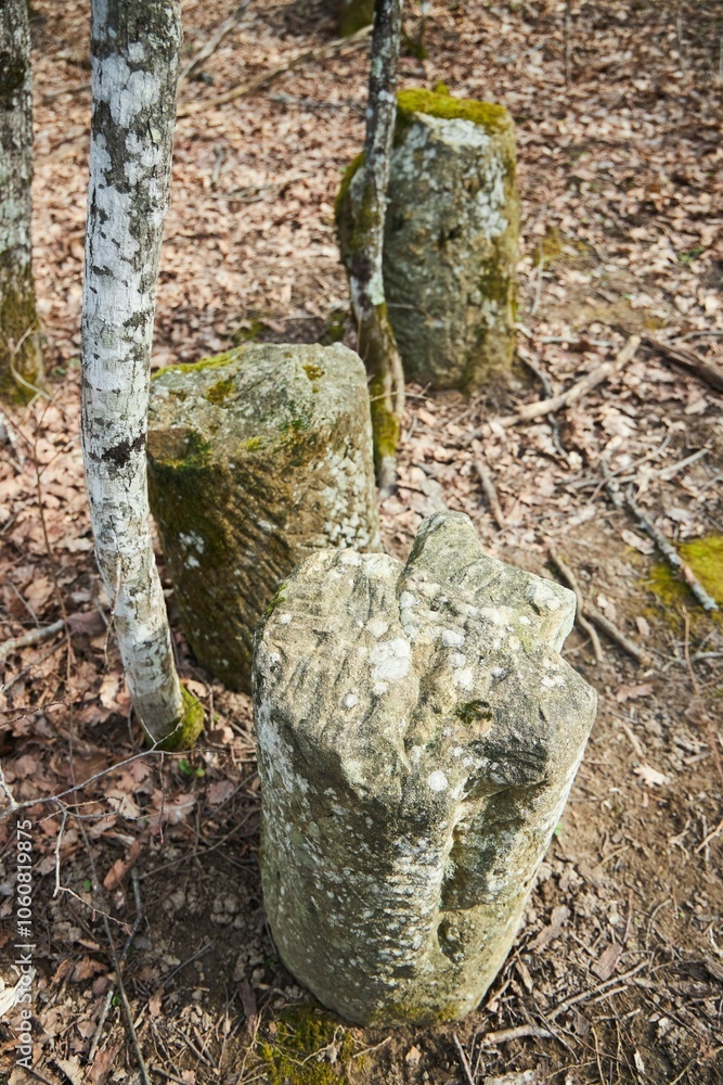 Obraz premium Ancient stone menhirs, man-made hewn stones from the Stone Age