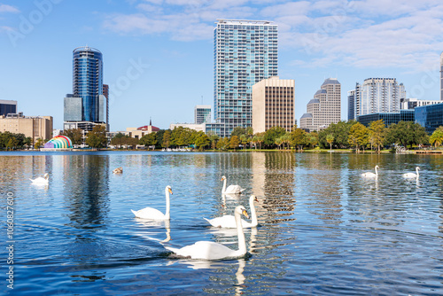 Fototapeta Naklejka Na Ścianę i Meble -  Orlando skyline at Lake Eola Park with swans downtown in fall season in Florida in the United States