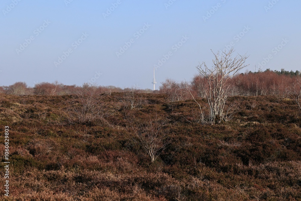 Blick auf die Duhner Heide zwischen den Cuxhavener Ortsteilen Duhnen und Sahlenburg Blick auf die Duhner Heide zwischen den Cuxhavener Ortsteilen Duhnen und Sahlenburg