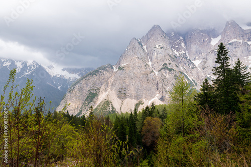 Vue d'une montagne au dessus d'une forêt par temps brumeux - Col de Vrsic photo