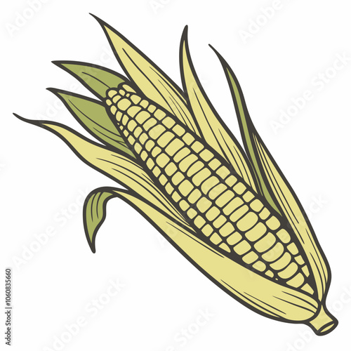 A hand-drawn illustration of a corn cob with its husks, a perfect addition to your farm-themed designs, menus, or illustrations.