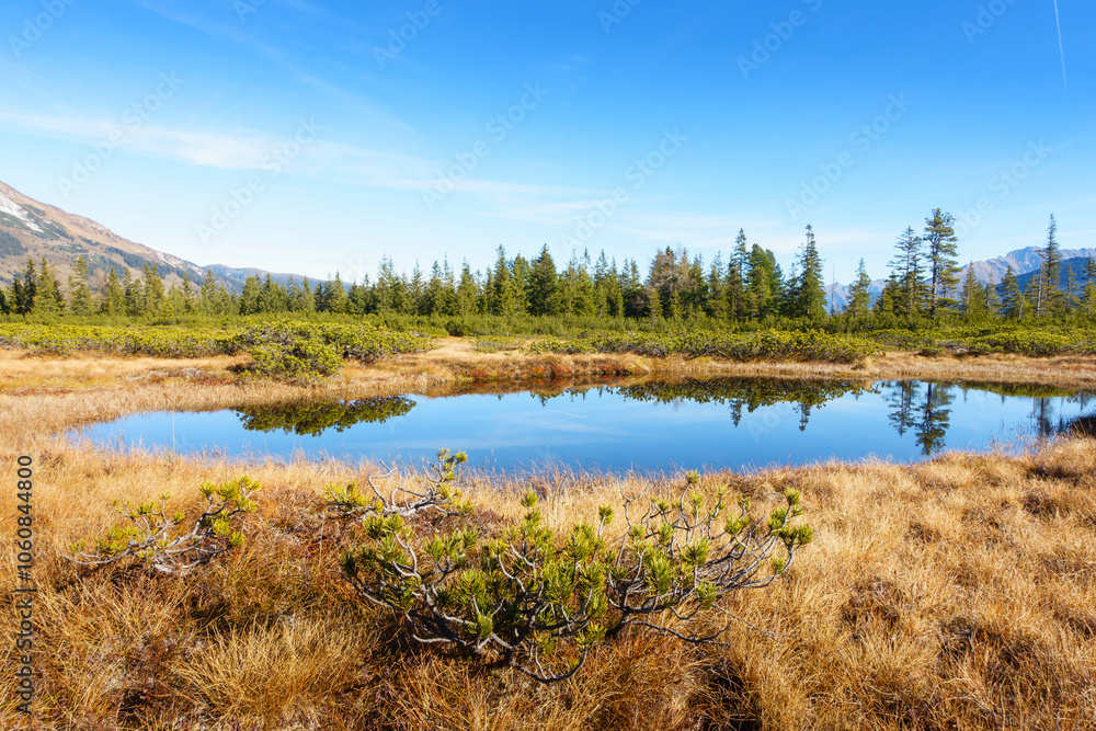 Herbstliche Moorlandschaft auf einem Hochplateau in Österreich