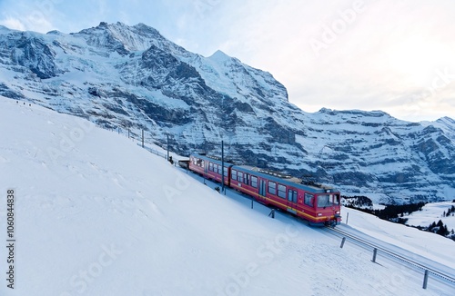 Wallpaper Mural On a cloudy winter day, tourists travel on a cogwheel train from Jungfraujoch (Top of Europe) to Kleine Scheidegg on the snowy hillside with Jungfrau in background, in Berner Oberland, Switzerland Torontodigital.ca