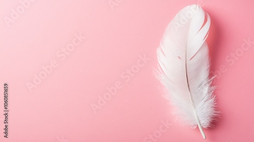 Single White Feather Against a Pink Background