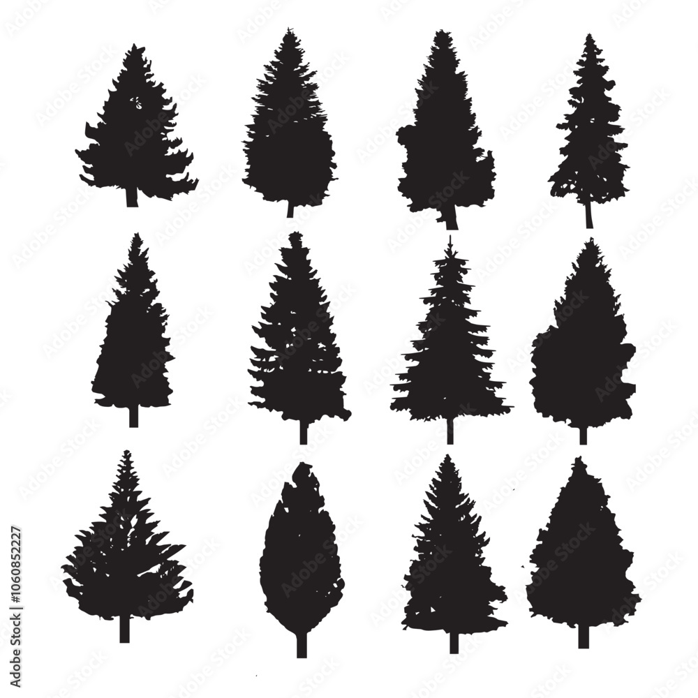 Fototapeta premium Tree silhouette, black spruce on white background