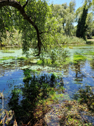 Riserva naturale sorgenti del Pescara, popoli terme photo