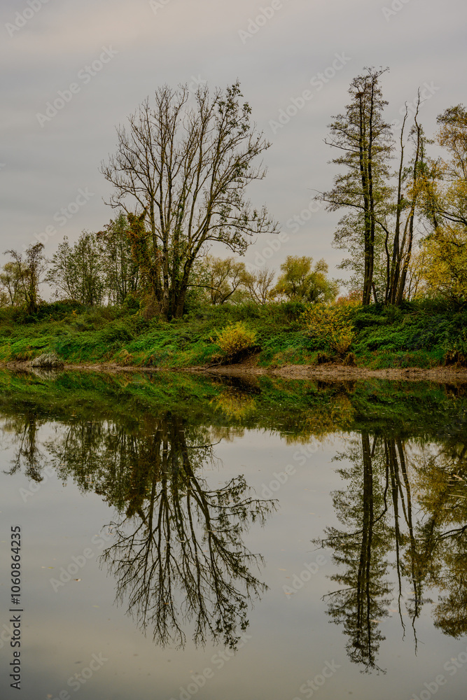 Herbst am Donaualtwasser Herbst am Donaualtwasser