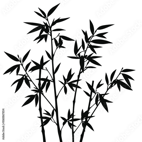 Bamboo Plant Vector Art