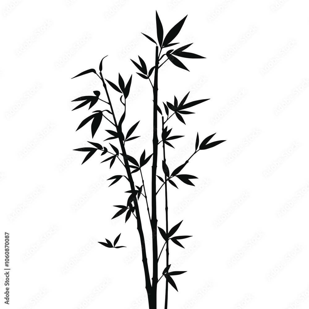 Fototapeta premium Bamboo Plant Vector Art