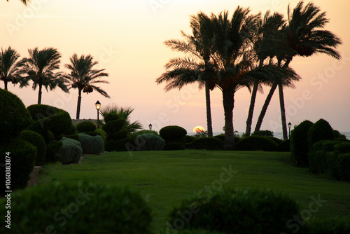 Sunrise over the sea with palm trees