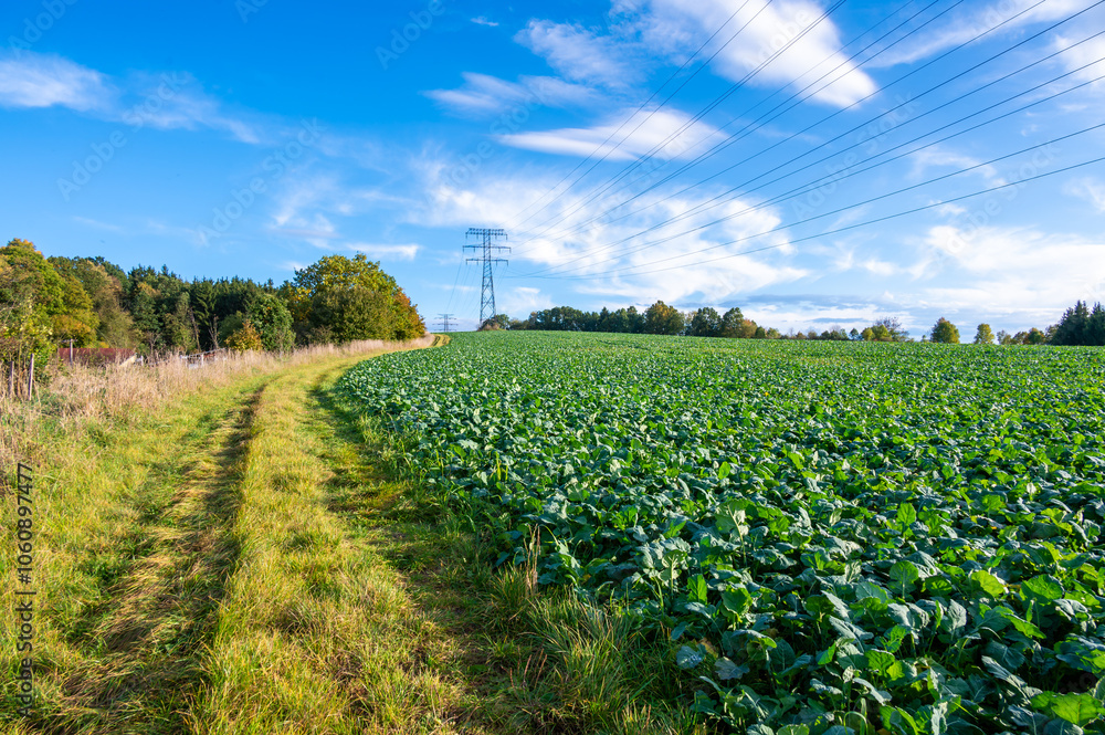 A landscape photo of power lines and transmission towers stretching across an open field with a scenic backdrop of hills and a partly cloudy sky.