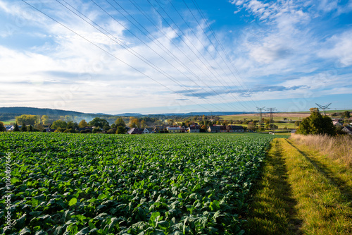 Obraz na płótnie A landscape photo of power lines and transmission towers stretching across an open field with a scenic backdrop of hills and a partly cloudy sky. w salonie