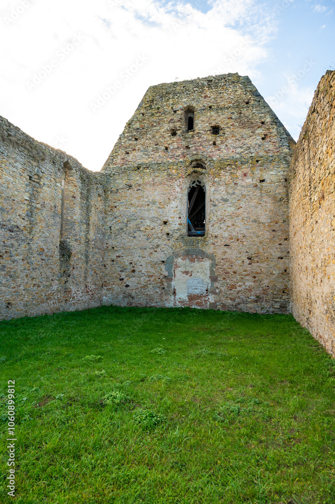 A photo of the ruins of the Koruna Svate Marie Monastery near the village of Trebarov. The ancient stone walls and arches stand as a testament