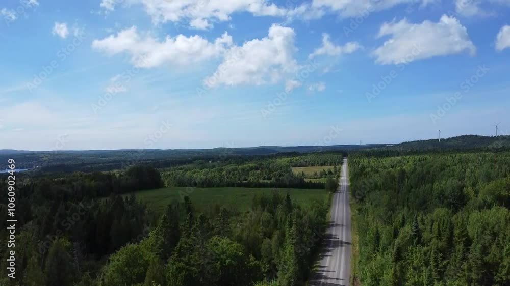 A drone rises into the blue sky from a forest path that runs through a forest as far as the eye can see. A drone rises into the blue sky from a forest path that runs through a forest as far as the eye can see.