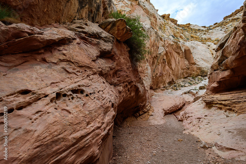 Obraz na plátně Eroded by water and wind cliffs in the canyon Little Wild Horse Canyon