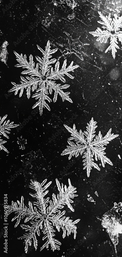 Close-up of delicate frosty snowflakes on transparent glass for stunning wallpaper design Close-up of delicate frosty snowflakes on transparent glass for stunning wallpaper design