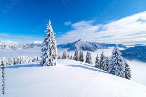 A great sunset in the mountains with snow-covered pine trees in violet and pink colors. Fantastic colorful scene with dramatic dramatic sky. Christmas wintery background.