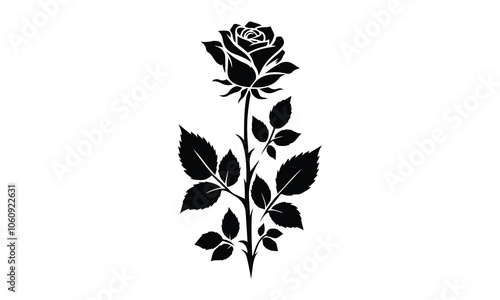 silhouette rose, Roses tattoo. Black roses vector design. Black silhouette of rose, Valentines day silhouette of rose element set. Romantic, rose silhouette vector and white background