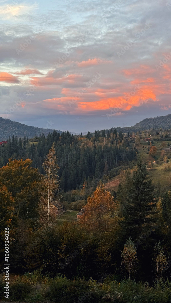 A wonderful autumn morning in the Carpathians. Pink orange sky above the forest. Vertical background. Image. Nature landscape. A wonderful autumn morning in the Carpathians. Pink orange sky above the forest. Vertical background. Image. Nature landscape.