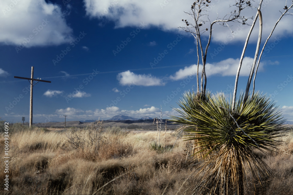 Landscape of Southwest America. Prairie of New Mexico, yucca tree and fluffy clouds. Road movie scenery. Landscape of Southwest America. Prairie of New Mexico, yucca tree and fluffy clouds. Road movie scenery.