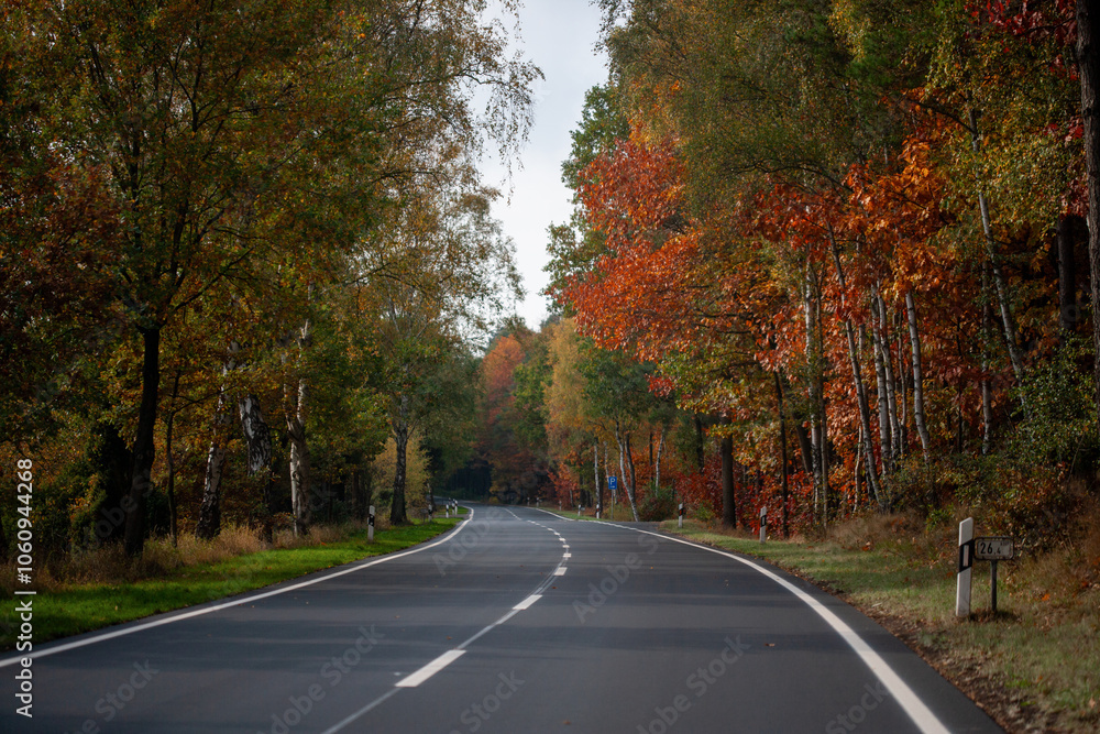 Naklejka premium Leere Landstraße im Herbst