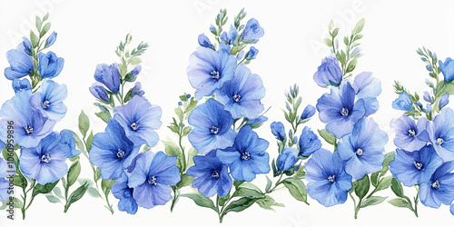 Flower isolated on white: Beautiful purple flower on White Background, Blossom, Flower rose