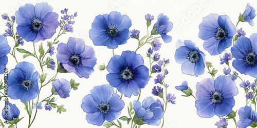 Flower isolated on white:  Beautiful purple flower on White Background, Blossom, Flower rose