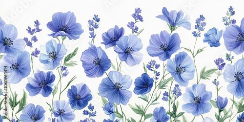 Flower isolated on white:  Beautiful purple flower on White Background, Blossom, Flower rose