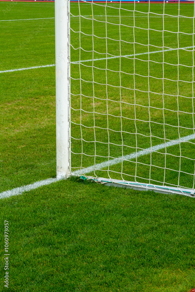 Obraz premium WM EM Fussball