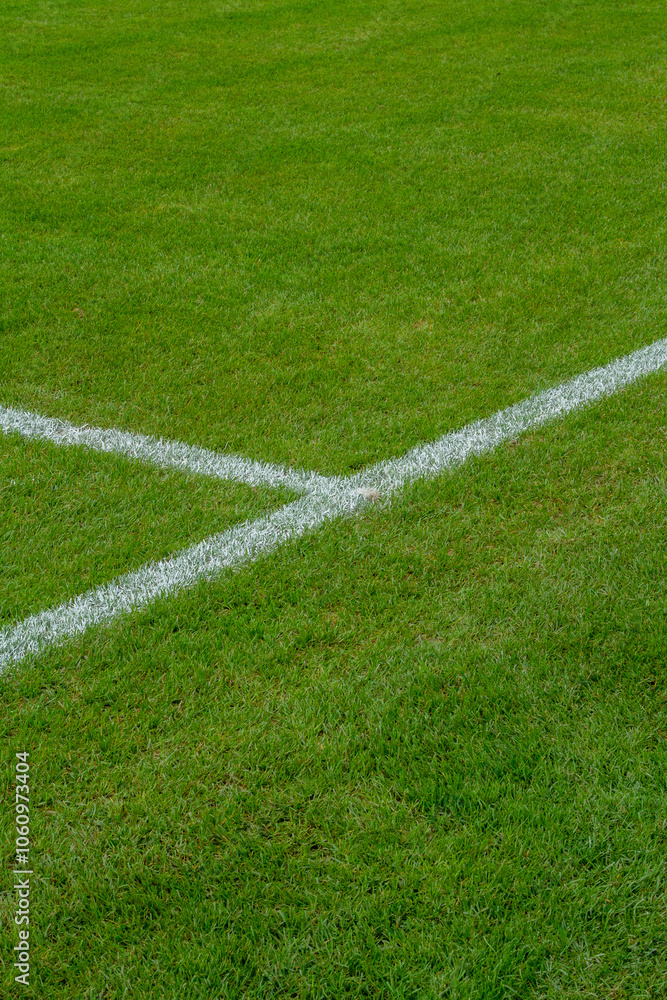 WM EM Fussball WM EM Fussball