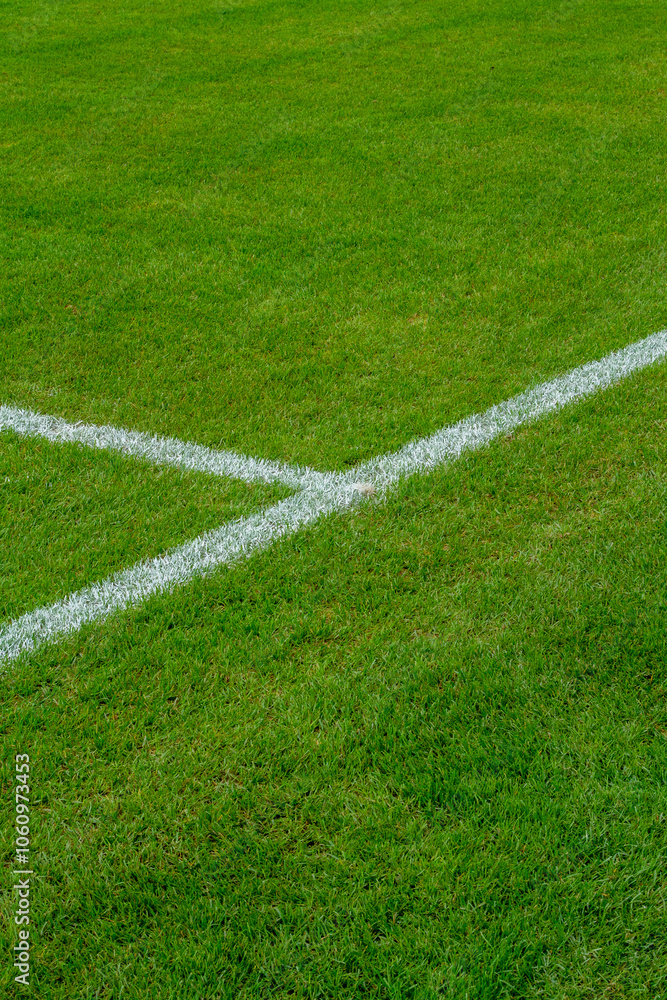 WM EM Fussball WM EM Fussball