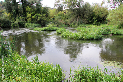 Summer landscape with a river