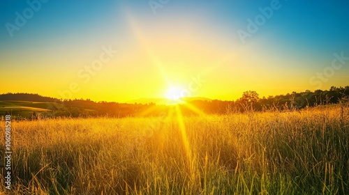 Golden Hour Sunset Over Grassy Field