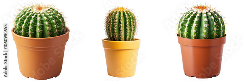 Set of vibrant potted cactus isolated on a transparent background