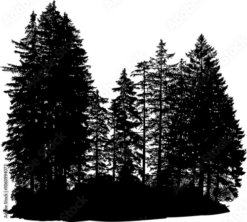 de invierno, nieve, árbol, bosque, naturaleza, paisaje, catarro, árbol, languidecer, blanco, navida, abeto