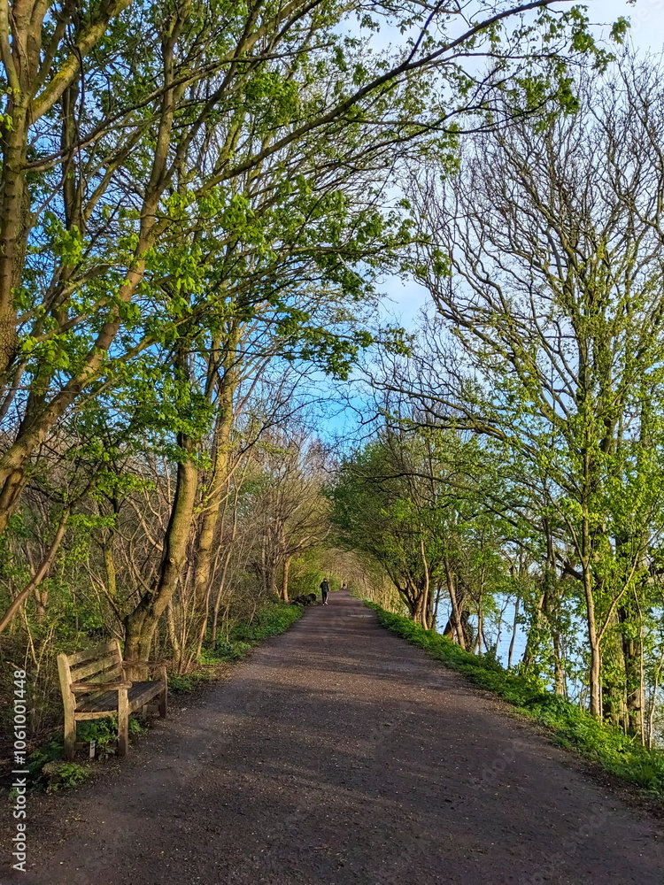 London - 03.28.2024: Two people strolling on the Thames Path along the River Thames with trees on both sides and a bench facing the river under a blue sky, sunlight coming through the tree canopy London - 03.28.2024: Two people strolling on the Thames Path along the River Thames with trees on both sides and a bench facing the river under a blue sky, sunlight coming through the tree canopy