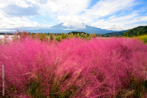 kawaguchiko japan
