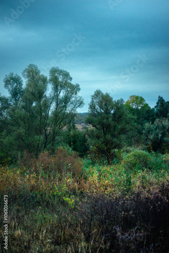 Landscape photography on the field with big and smooth clouds in the sky,Stormy weather on the picture.Big blue clouds iver the forest nd field, morning landscape in the woodlands.Aurumn blue hour,