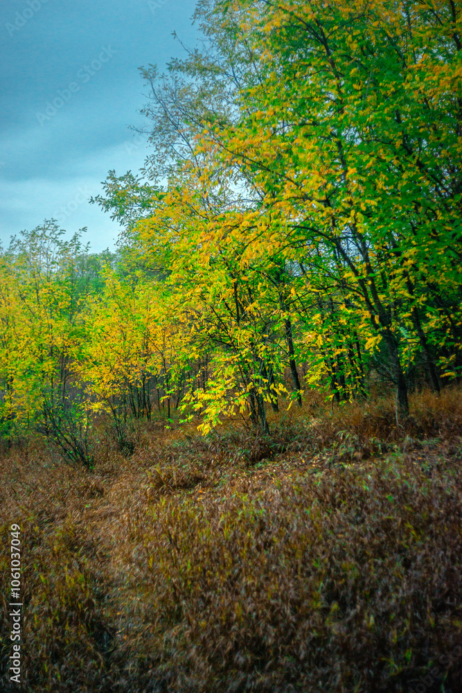 Landscape photography on the field with big and smooth clouds in the sky,Stormy weather on the picture.Big blue clouds iver the forest nd field, morning landscape in the woodlands.Aurumn blue hour, Landscape photography on the field with big and smooth clouds in the sky,Stormy weather on the picture.Big blue clouds iver the forest nd field, morning landscape in the woodlands.Aurumn blue hour,