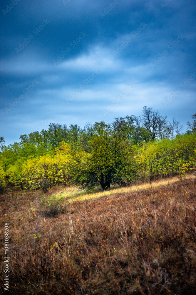 Landscape photography on the field with big and smooth clouds in the sky,Stormy weather on the picture.Big blue clouds iver the forest nd field, morning landscape in the woodlands.Aurumn blue hour,