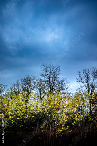 Landscape photography on the field with big and smooth clouds in the sky,Stormy weather on the picture.Big blue clouds iver the forest nd field, morning landscape in the woodlands.Aurumn blue hour, photo