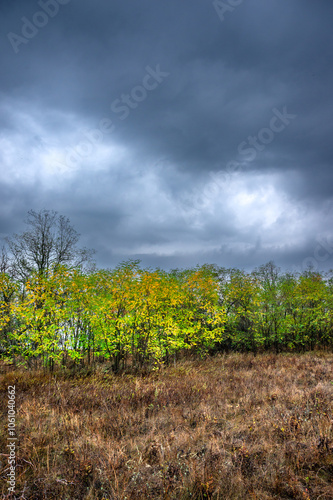 Landscape photography on the field with big and smooth clouds in the sky,Stormy weather on the picture.Big blue clouds iver the forest nd field, morning landscape in the woodlands.Aurumn blue hour,