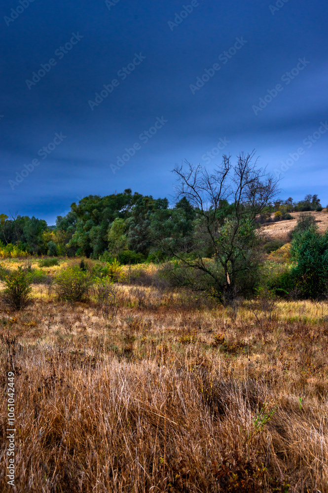 Landscape photography on the field with big and smooth clouds in the sky,Stormy weather on the picture.Big blue clouds iver the forest nd field, morning landscape in the woodlands.Aurumn blue hour, Landscape photography on the field with big and smooth clouds in the sky,Stormy weather on the picture.Big blue clouds iver the forest nd field, morning landscape in the woodlands.Aurumn blue hour,